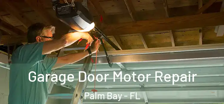  Garage Door Motor Repair Palm Bay - FL