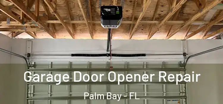  Garage Door Opener Repair Palm Bay - FL