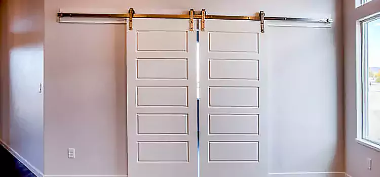 Glass Barn Door with Installation Hardware Kit Palm Bay