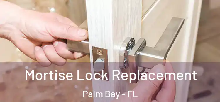 Mortise Lock Replacement Palm Bay - FL